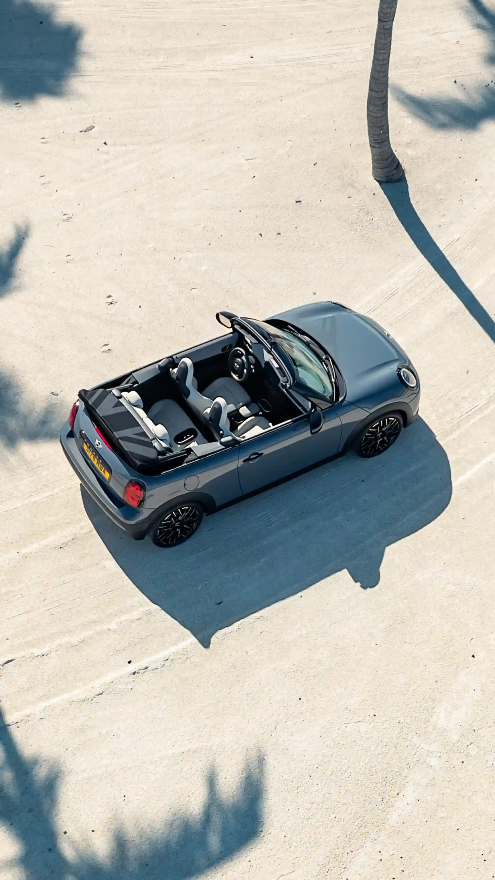 MINI Cooper Cabrio - palmen