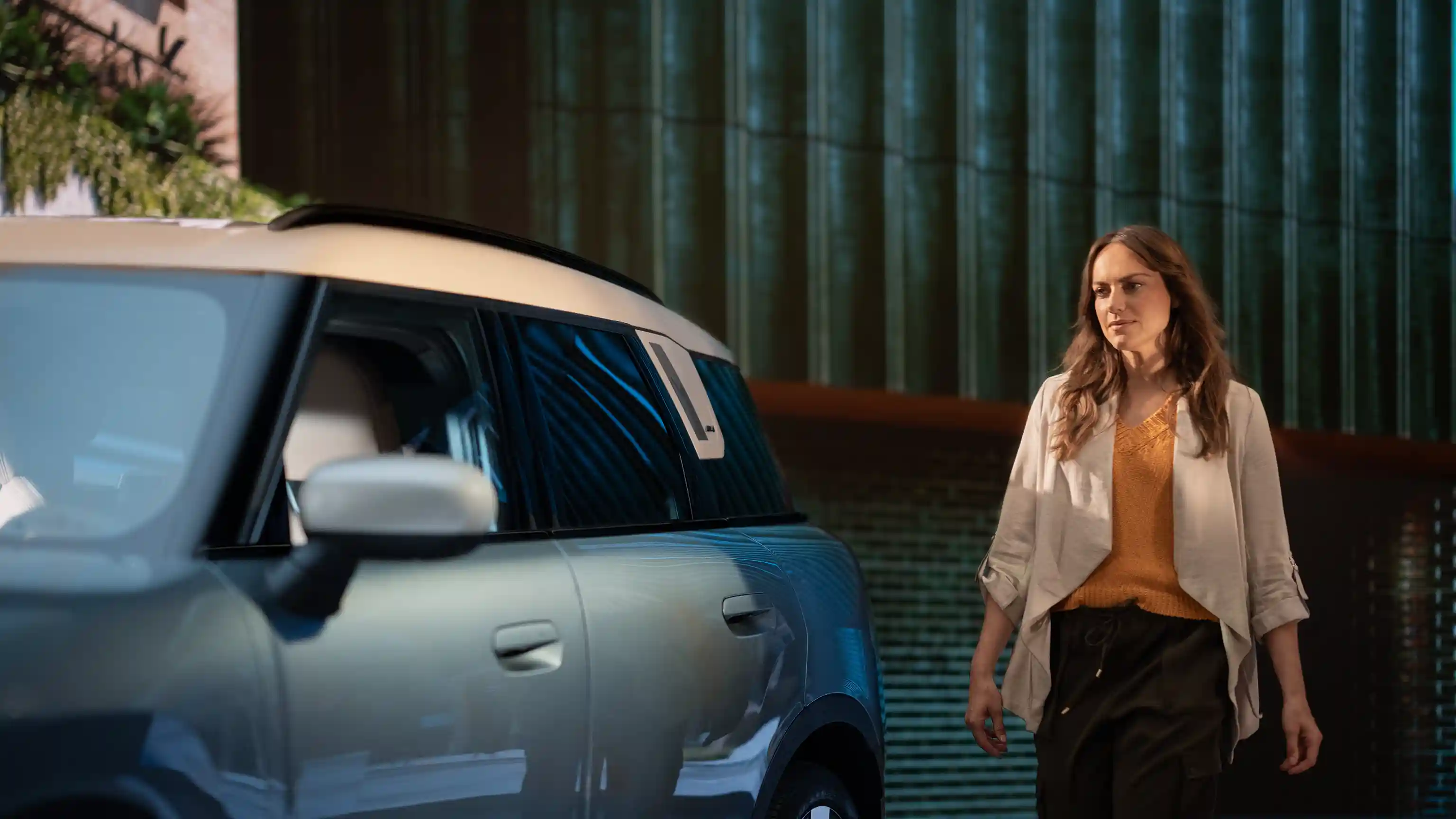 Mini Financial Services – overzicht – teaser financiering