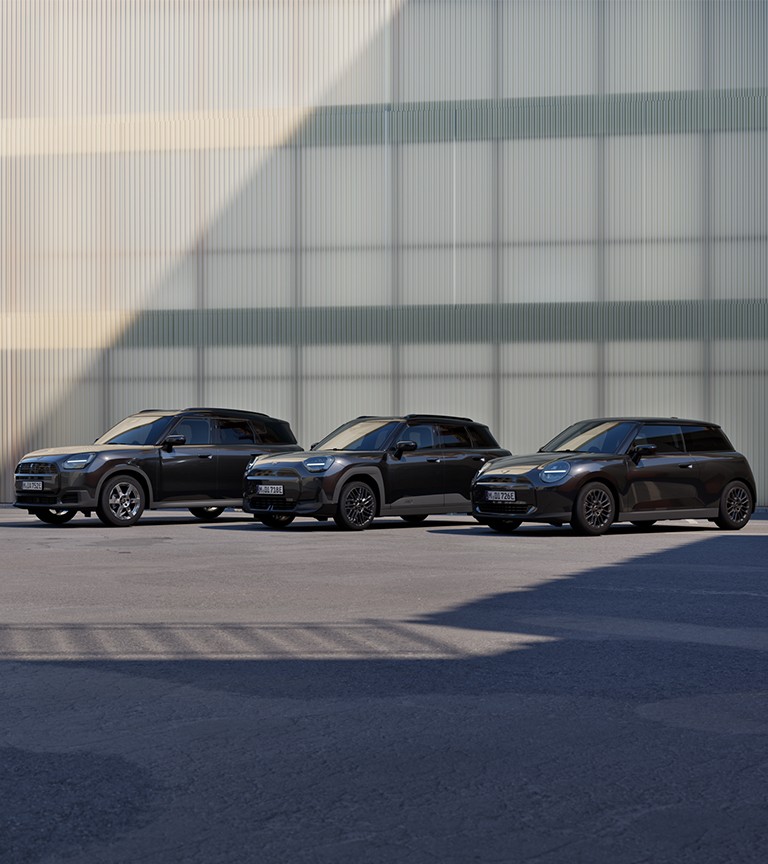 MINI Blackyard