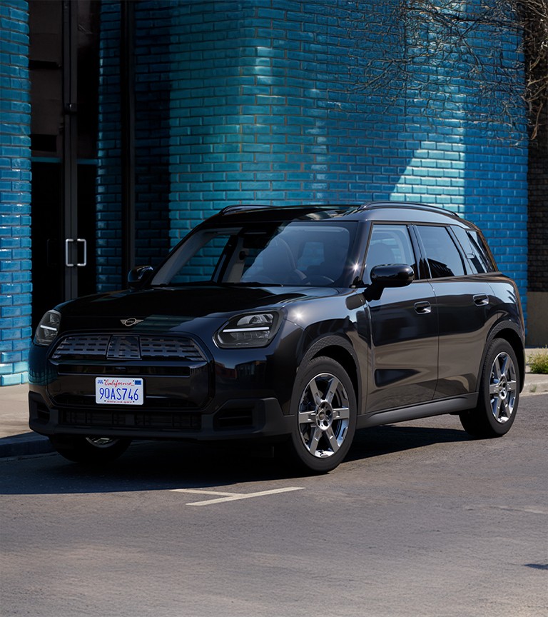 MINI Blackyard