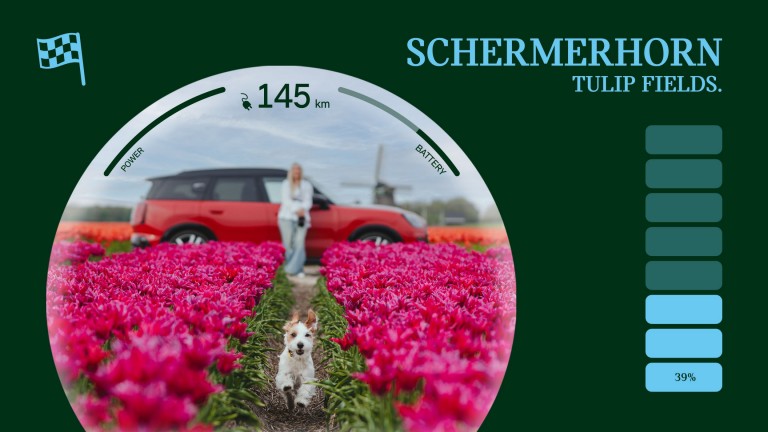 Schermerhorn Tulip Fields.