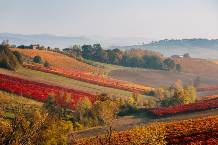Heuvellandschap van Maranello, Italië